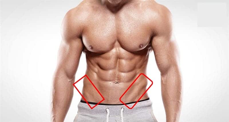 3569542-PH 人魚線是什麼